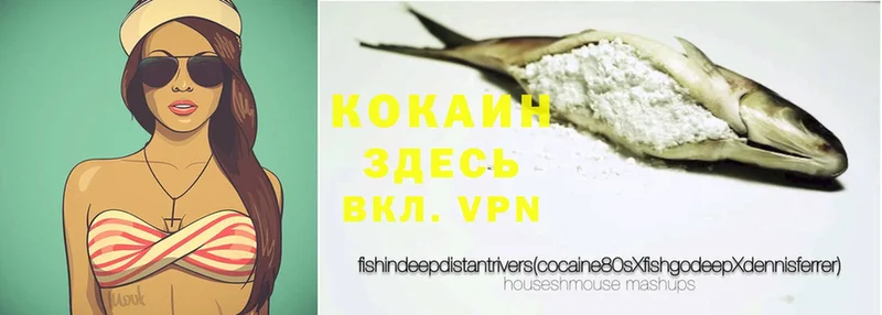 КОКАИН Fish Scale  Алатырь 