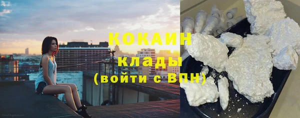 дмт Нея