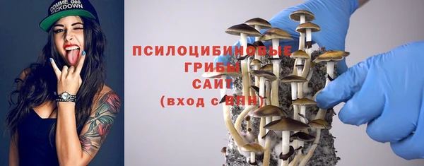ГАЛЛЮЦИНОГЕННЫЕ ГРИБЫ Новокубанск