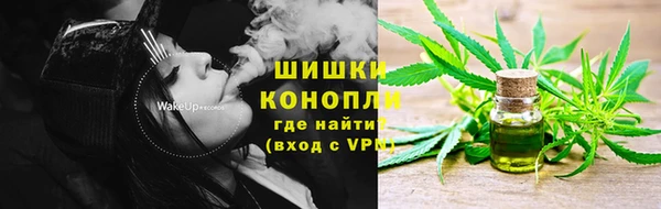 дмт Нея
