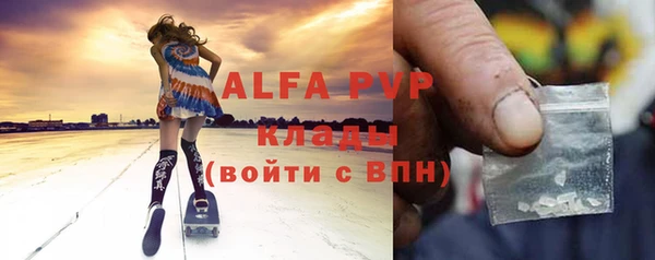 гашик Бежецк