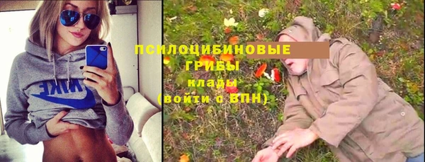 соль ск Нефтегорск