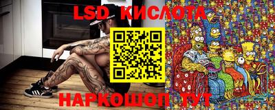 прущие крисы Абакан