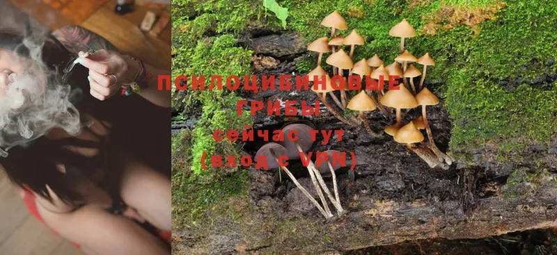 Галлюциногенные грибы MAGIC MUSHROOMS  omg   Алатырь 