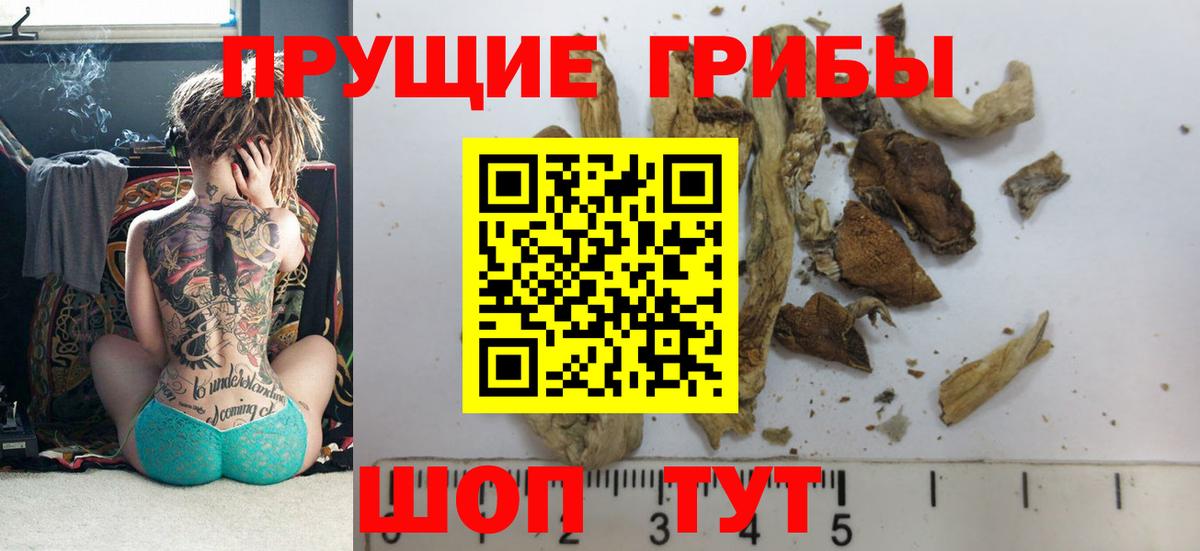 Галлюциногенные грибы MAGIC MUSHROOMS Алатырь